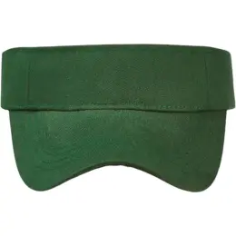 FWRD Sunvisor Bottle